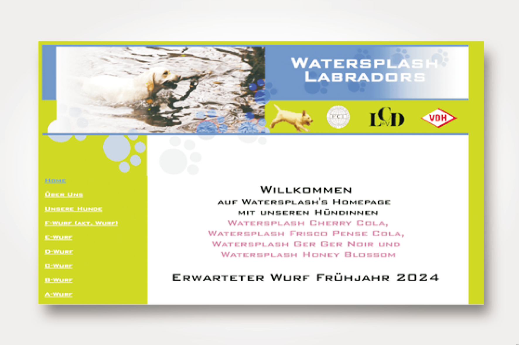 Web Beispiel 4